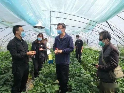 西北农林爆料最新消息今天,重大科研成果引发行业关注!” 第3张 西北农林爆料最新消息今天,重大科研成果引发行业关注!” 第3张